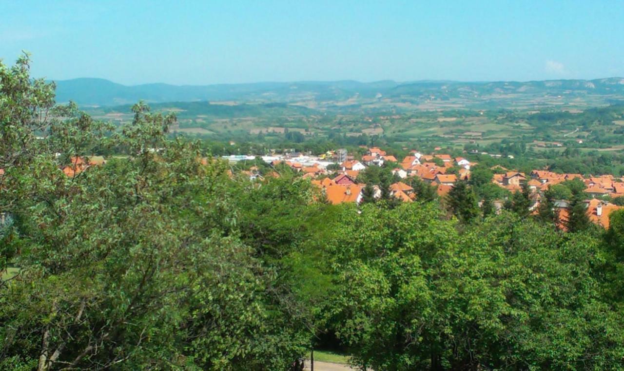 Vila Akademik A1 Sokobanja Exterior foto