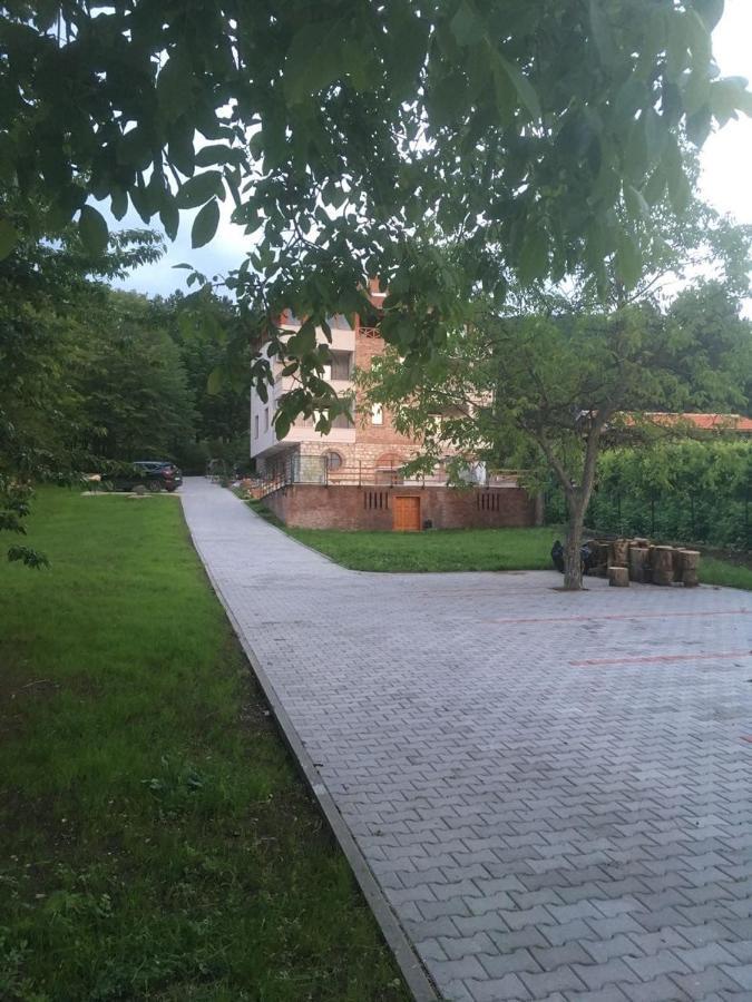 Vila Akademik A1 Sokobanja Exterior foto